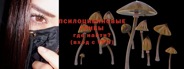 кокс Нягань